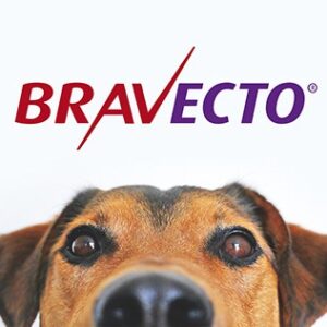 Antipulgas E Carrapatos Bravecto® Cães 4,5 A 10kg 250mg